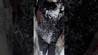  Çəkənin Çətin Anları. Qartopu. Qış