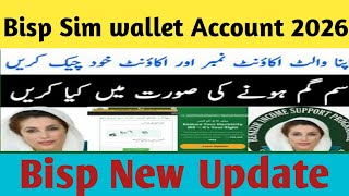 Bisp Wallet Account kaise check kare | bisp wallet sim | ehsaas program update