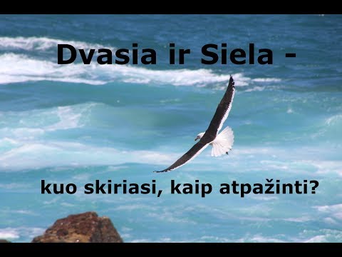 Video: Kuo Skiriasi Dvasia Nuo Sielos - Alternatyvus Vaizdas