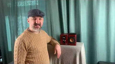 JVC SP-EXA-1 Famous Wood Cone Speakers - Nice smaller speakers available on the used market.