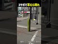 3人のサボテンで草むらに隠れるかくれんぼww #shorts #prophunt