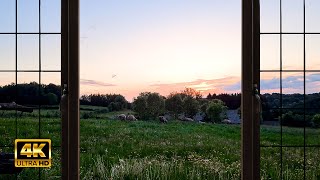 4K Countryside Evening Ambience Window view with Nature Sounds -  Relaxing, Calming, Sunset screenshot 2