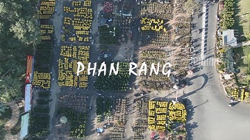 NGÀY TẾT QUÊ NHÀ || Phan Rang - Tháng Giêng năm Tân Sửu