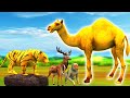 सुनहरा ऊंट और बाघ हिरण Golden Camel and Tiger Deer Hindi Kahaniya 3D Panchatantra Stories in Hindi