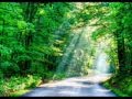 VAN MORRISON _ BRIGHT SIDE OF THE ROAD.