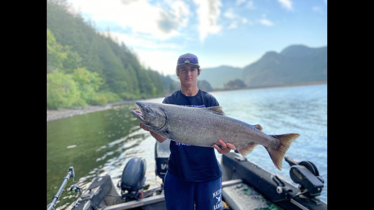 Drano Lake 2020 Fall King Salmon Youtube
