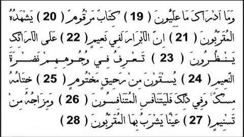 القارئ الزين محمد أحمد سورة المطفّفين