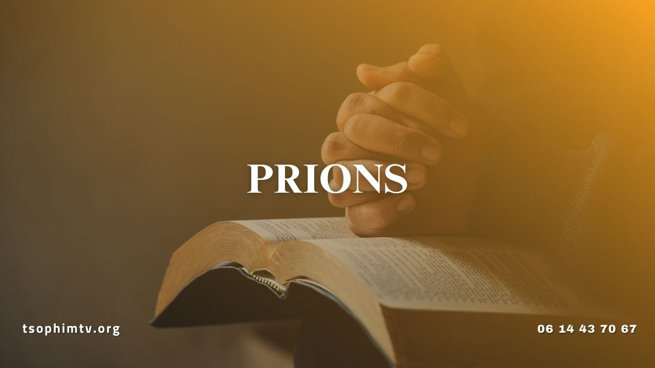 Faute de bois le feu s’éteint