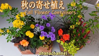 秋の寄せ植え
