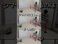 『シマウマになるのはど〜れだ?』#シマウマ #funny