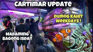 CARTIMAR LATEST FISH PRICE UPDATE| Madaming Bagong ISDA akong Nakita!PRESYO Simula sa SAMPUNG PISO‼