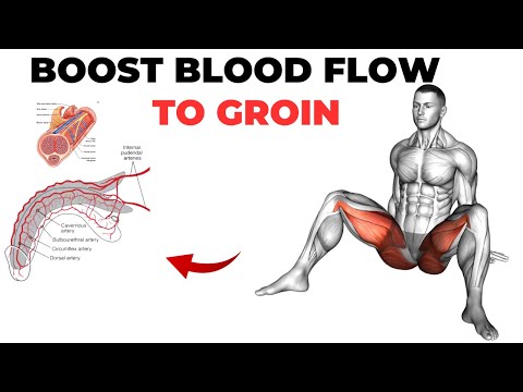 Male Pelvic Floor Exercises to Increase Blood Flow to Your Groin Area