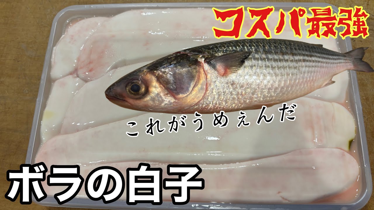 コスパ最強「ボラの白子」簡単に出来る下処理とうんめぇ食い方