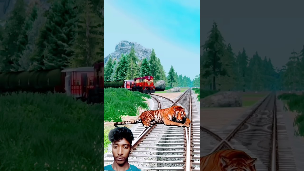 GIANT TIGER VS TRAIN at Forked Railroad Tracks