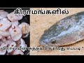கிராமங்களில் விரால் மீன் சுத்தம் செய்வது எப்படி? | How to Clean Snakehead Murrel #yt