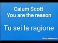 YOU ARE THE REASON - CALUM SCOTT - TESTO E TRADUZIONE