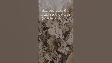 سورة النساء الآية ٢٦ الى ٢٨ بصوت الشيخ ياسر الدوسري