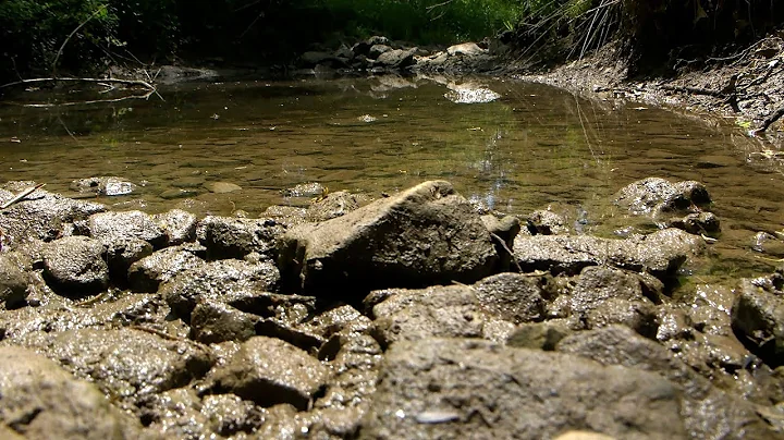Middle Fork Beargrass Creek Urban Watershed Plan