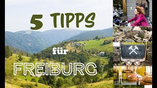 5 Tipps für einen Urlaub in Freiburg und Umgebung