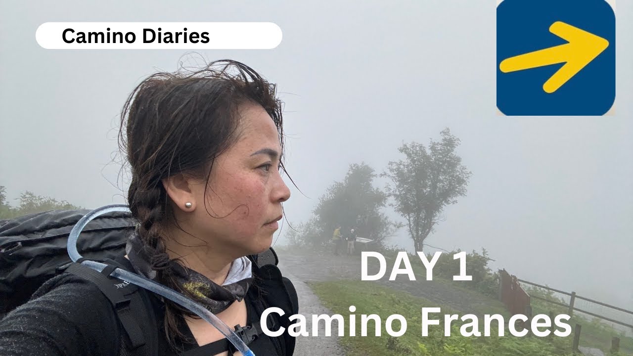 Day 1 | Saint Jean Pied de Port to Borda | #CaminoFrances | Camino de Santiago