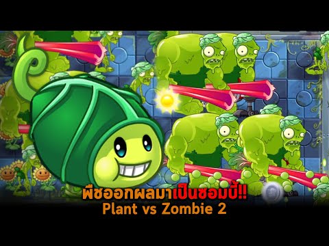 พืชออกผลมาเป็นซอมบี้ Plant vs Zombie 2