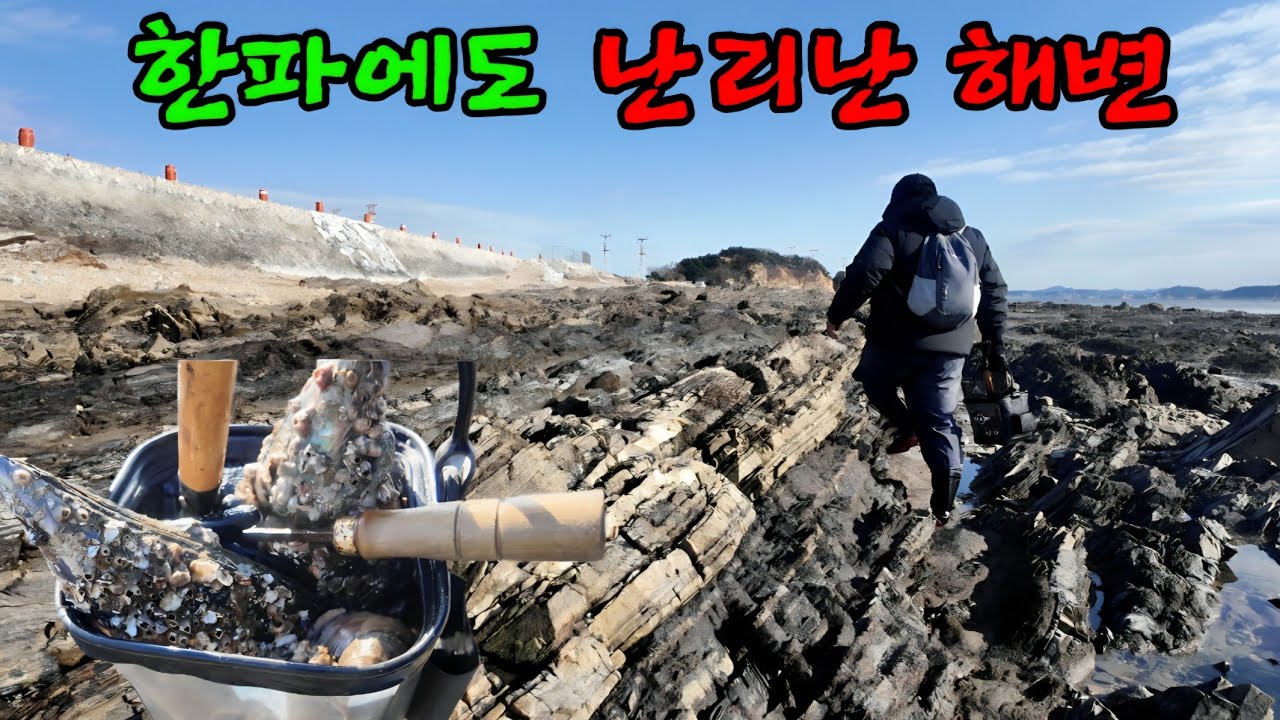 강추위 속 한파에 물빠지면 줍줍 주워보자