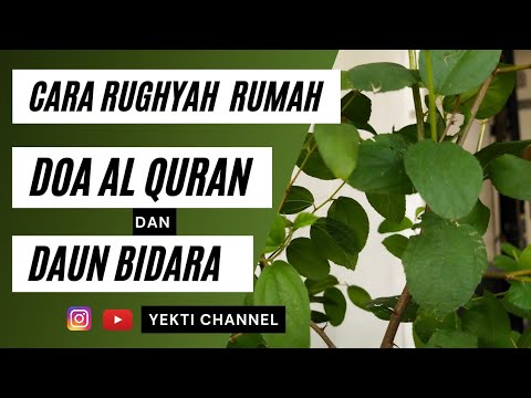 Cara Meruqyah Rumah Dengan Doa Al Quran Dan Daun Bidara ( Rugyah ) - Youtube