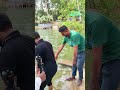 ভর দুপুরে রহস্যময় পুকুরে ডুবে যুবক নিখোজ ।।