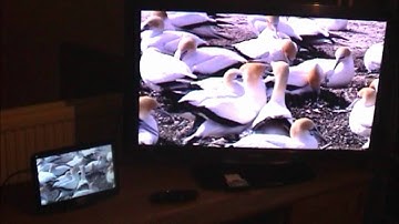 W7PAD - Using HDMI Video and Audio