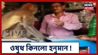 News18 Bangla Exclusive: Birbhumএর Mallarpurএ টোটো চেপে আহত হনুমান গেলো ওষুধের দোকানে