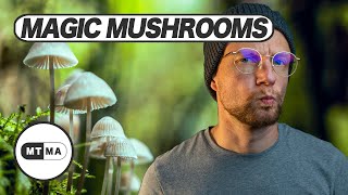 Magic Mushrooms, Zauberpilze - wie wirken sie? Sind die gefährlich?