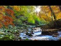 Native American Flute: Sleep Meditation Music, Relaxing Music for Sleeping, Soothing Relaxation
