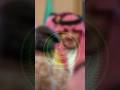 قوات امن الحج السعودية العظمى