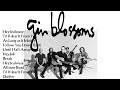 Dont miss gin blossoms hit hits very best of gin blossom playlist