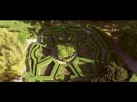 კარდენახის ბოლოზარი