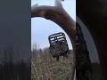 Hunting Whitetails