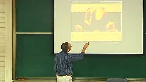 GIAN series Lecture 11 | Dislocation dynamics | Professors Marc C Fivel, M. Sundararaman, Prita Pant