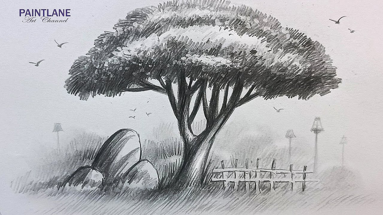 How to draw Tree in Nature Landscape Art || Pencil Art - YouTube