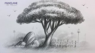 How To Draw Tree In Nature Landscape Art Pencil Art