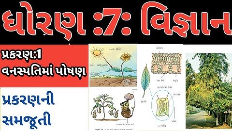 1. STD 7 science ch1 વનસ્પતિમાં પોષણ