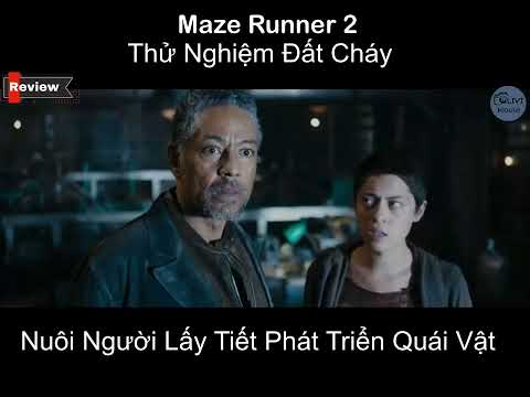 Review Phim :