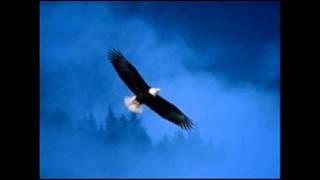 Watch Mary Black The Shadow video