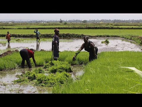 Жетілген және егде жастағы лесбиянкалардың фотосуреттері