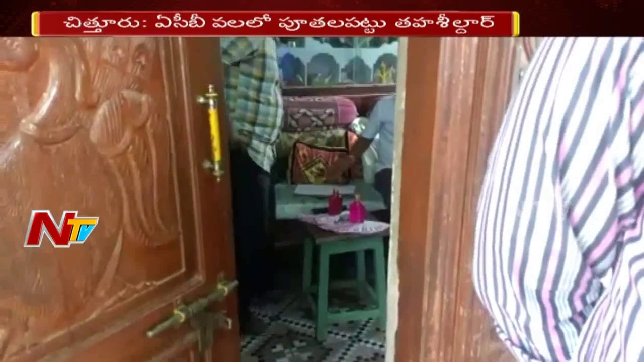 Poothappattu Tahsildar Caught Red Handed to ACB while taking Bribe || NTV