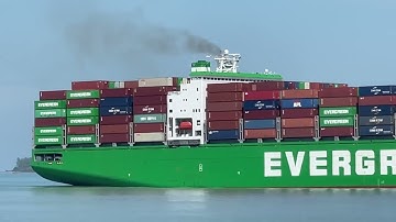 Container Loading Video🌹❤️🇮🇳