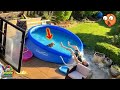 TOTAL IDIOTS AT WORK #158 | Instant Regret Fails Compilation 2025 | Best Fails of the Week