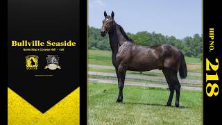 Bullville Seaside - East Coast Standardbred Yearling Sale hip 218