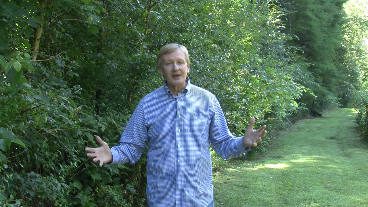 martin-county-kentucky-youtube