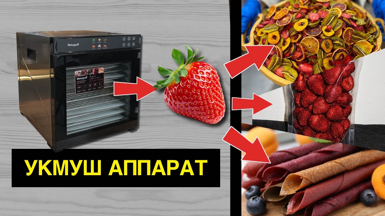 Соонун арзан аппарат таптым! Түшүмдү сактаса да сатса да болот экен! Ар бир үйгө каалайм! Дегидратор