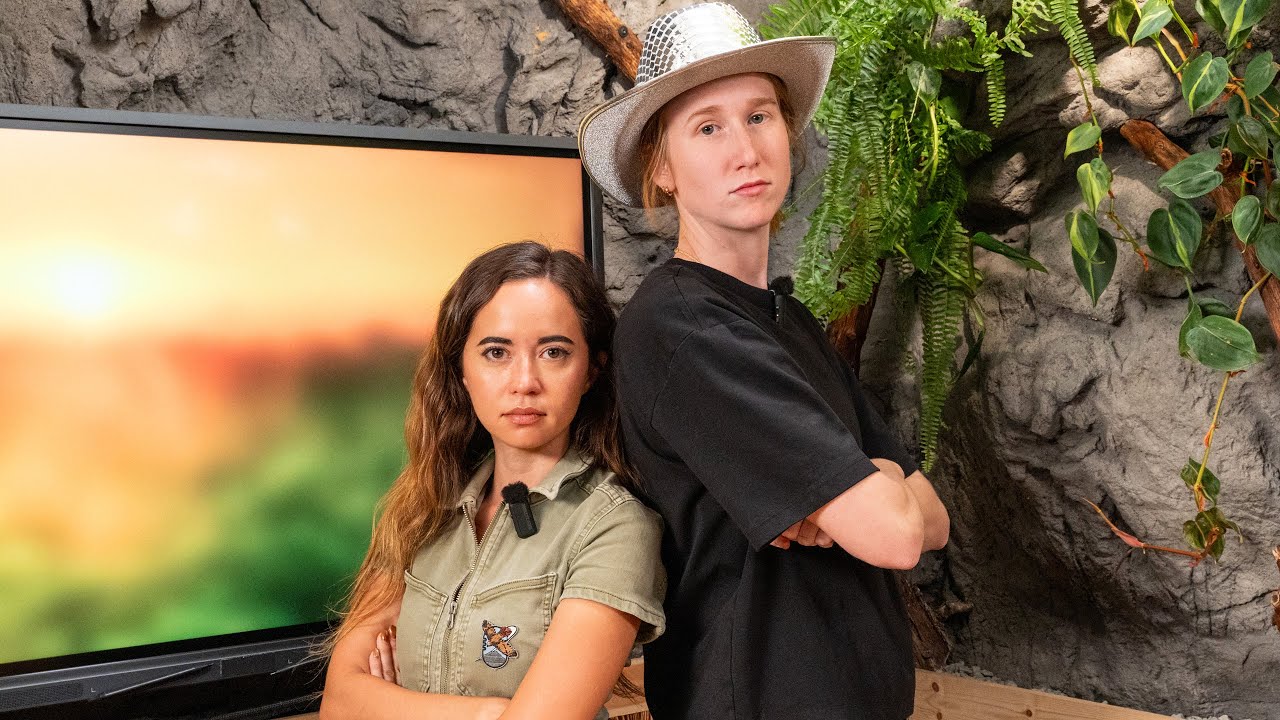 KatieB посетила наш приют для животных